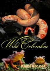Дикая Колумбия (2014) Wild Colombia