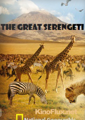 В великом краю Серенгети (2011) The Great Serengeti