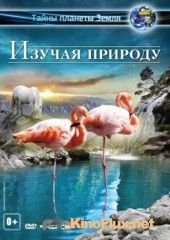 Изучая природу 3D (2012) Experience Nature 3D