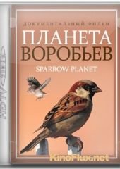 Планета воробьев (2013) Sparrow Planet