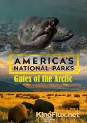 National Geographic. Национальные парки Америки. Арктические врата (2015) America's National Parks. Gates of the Arctic