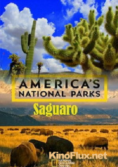 National Geographic. Национальные парки Америки. Сагуаро (2015) America's National Parks. Saguaro