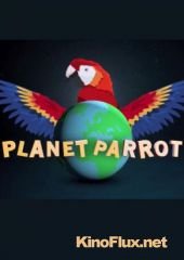 Планета попугаев (2014) Planet Parrot