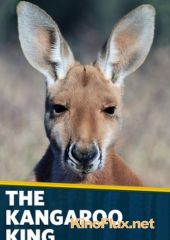 Король кенгуру (2015) The Kangaroo King