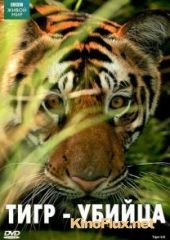 BBC: Живой мир. Тигр - убийца (2007) BBC: Natural World. Tiger Kill