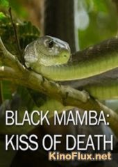 Черная мамба: поцелуй смерти (2013) Black Mamba Kiss of Death