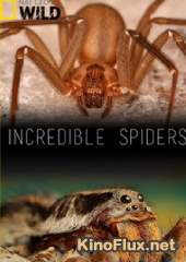 National Geographic. Удивительные пауки (2015) Incredible Spiders