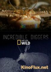 National Geographic. Удивительные копатели (2015) Incredible Diggers
