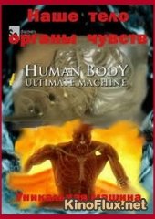 Наше тело. Уникальная машина: Мозг (2013) Human Body. Ultimate Machine