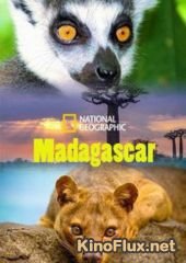 National Geographic. Мадагаскар: Легенда острова лемуров (2015) Madagascar