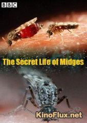 BBC: Тайная жизнь мошкары (2015) The Secret Life of Midges