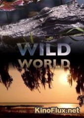 Мир дикой природы (2010-2012) Wild World