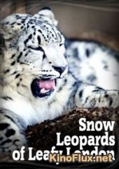 Снежный барс в зеленом Лондоне (2013) Snow Leopards of Leafy London