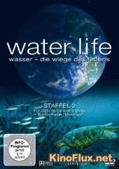 Водная жизнь (2009) Mundos de agua