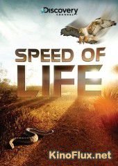 Discovery: Скорость жизни (2010) Speed of Life