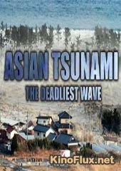 Азиатские цунами: Смертельная волна (2014) Asian Tsunami: The Deadliest Wave