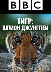 BBC: Тигр – Шпион джунглей (2008) Tiger: Spy in the Jungle