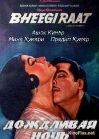 Дождливая ночь (1965) Bheegi Raat