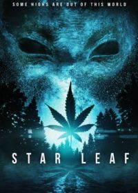 Звездная травка (2015) Star Leaf