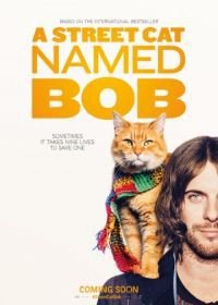 Уличный кот по кличке Боб (2016) A Street Cat Named Bob