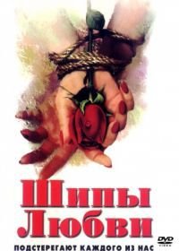 Шипы любви (1998) Mehndi