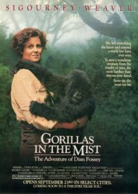 Гориллы в тумане (1988) Gorillas in the Mist: The Story of Dian Fossey