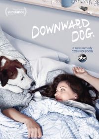 По-собачьи (2017) Downward Dog