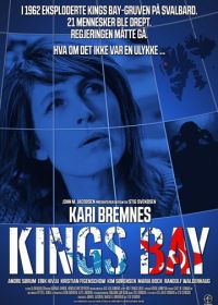 Дело «Кингс Бэй» (2017) Kings Bay