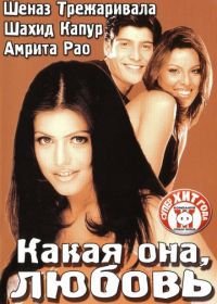 Какая она, любовь (2003) Ishq Vishk