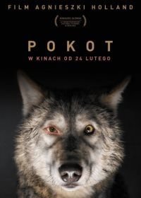 След зверя (2017) Pokot