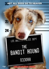 Пес-бандит (2016) The Bandit Hound