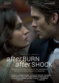 Страсть и покорение (2017) Afterburn/Aftershock