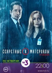 Секретные материалы (2015-2018) The X-Files