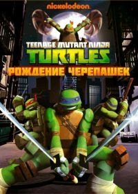 Черепашки-ниндзя (2012-2017) Teenage Mutant Ninja Turtles