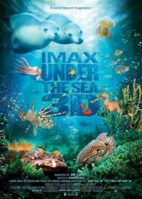 На глубине морской 3D (2009) Under the Sea 3D