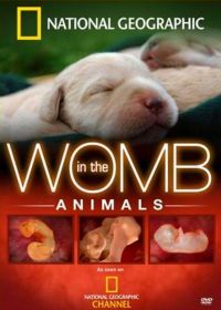 National Geographic. Жизнь до рождения: Собаки (2008) In The Womb: Dogs