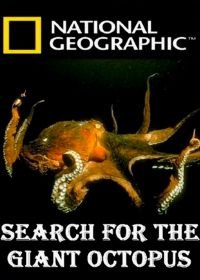 National Geographic. В поисках гигантского осьминога (2009) Search for the Giant Octopus