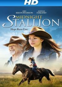 Полночный жеребец (2013) Midnight Stallion