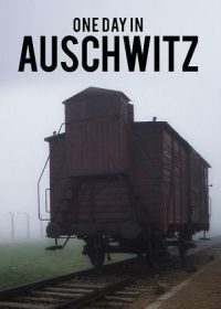 Один день в Освенциме (2015) One Day in Auschwitz