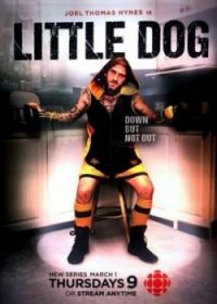 Маленькая собака (2018) Little Dog