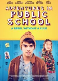 Приключения в общеобразовательной школе (2017) Public Schooled