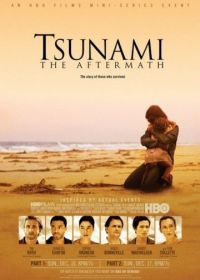 Цунами (2006) Tsunami: The Aftermath