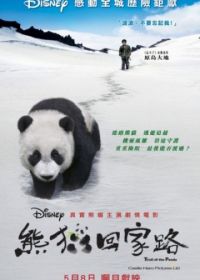 След панды (2009) Xiong mao hui jia lu