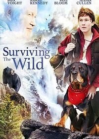 Выживание в дикой природе (2018) Surviving the Wild