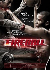 Файрбол (2009) Fireball