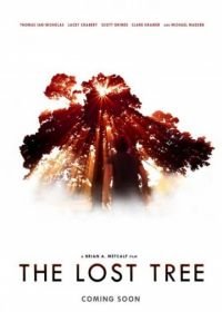 Потерянное дерево (2016) The Lost Tree