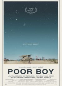 Бедный мальчик (2016) Poor Boy