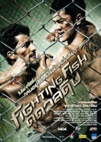 Бойцовая рыбка (2012) Fighting Fish