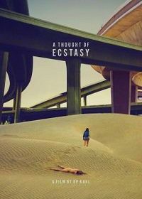 В поисках наслаждения (2017) A Thought of Ecstasy