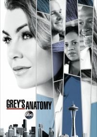 Анатомия страсти / Анатомия Грей (2005-2022) Grey's Anatomy